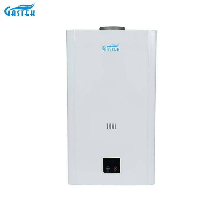 Temperatura constante 10L 12L 16L 18L Tipo de chimenea Panel LCD Montado en la pared GLP instantáneo sin tanque Géiseres de gas de agua caliente natural para ducha