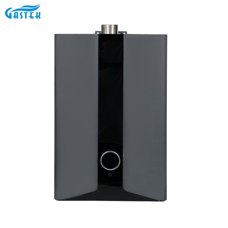 Electricidad 220V 110V Panel LCD Tipo forzado Temperatura constante Calentador de agua de gas para baño