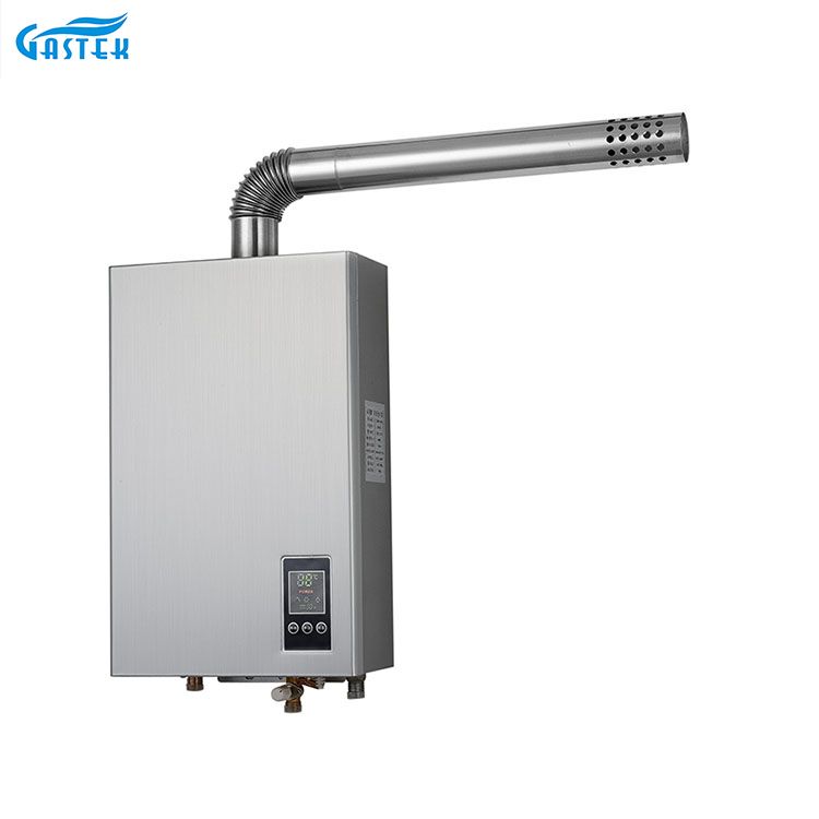 Electricidad 220V 110V Temperatura constante Tipo forzado Calentador de agua caliente a gas de tamaño compacto