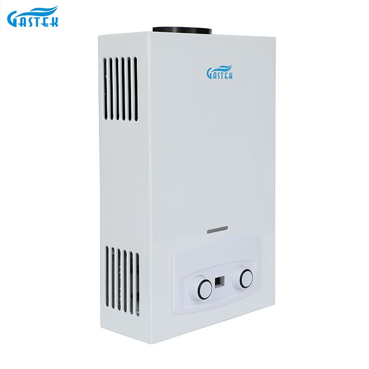 Electrodomésticos caldera tipo chimenea ducha calentador de agua a Gas GLP para baño de ducha