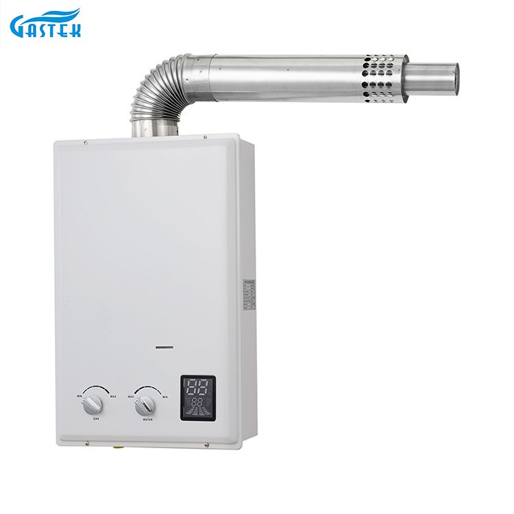 Tipo equilibrado Turbo Shower GAS Natural Gas 10L 12L 16L 18L Gas Geyser
