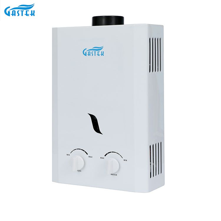 Electrodomésticos tipo chimenea montado en la pared 6L 10L 12L 16L 20L GLP Géiser de gas instantáneo sin tanque para ducha