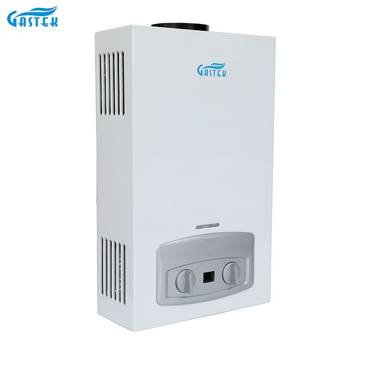 Calentador de agua caliente a gas instantáneo sin tanque de GLP de 10L montado en la pared tipo chimenea para electrodomésticos para ducha