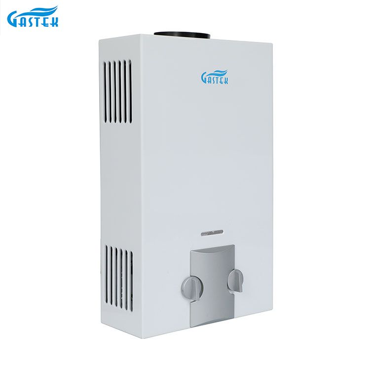 Fábrica de electrodomésticos OEM ODM Tipo de chimenea montado en la pared 6L 10L 12L 16L 20L GLP Géiser de gas instantáneo sin tanque para ducha