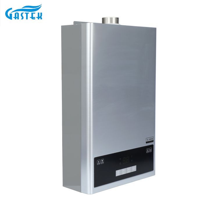 Electrodomésticos tipo forzado electricidad 220V 110V Turbo calentador de agua a gas sin tanque de tamaño compacto para ducha